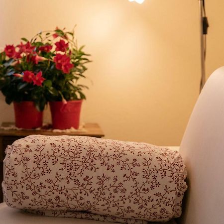 La Casa In Collina Apartment Alba  Ngoại thất bức ảnh